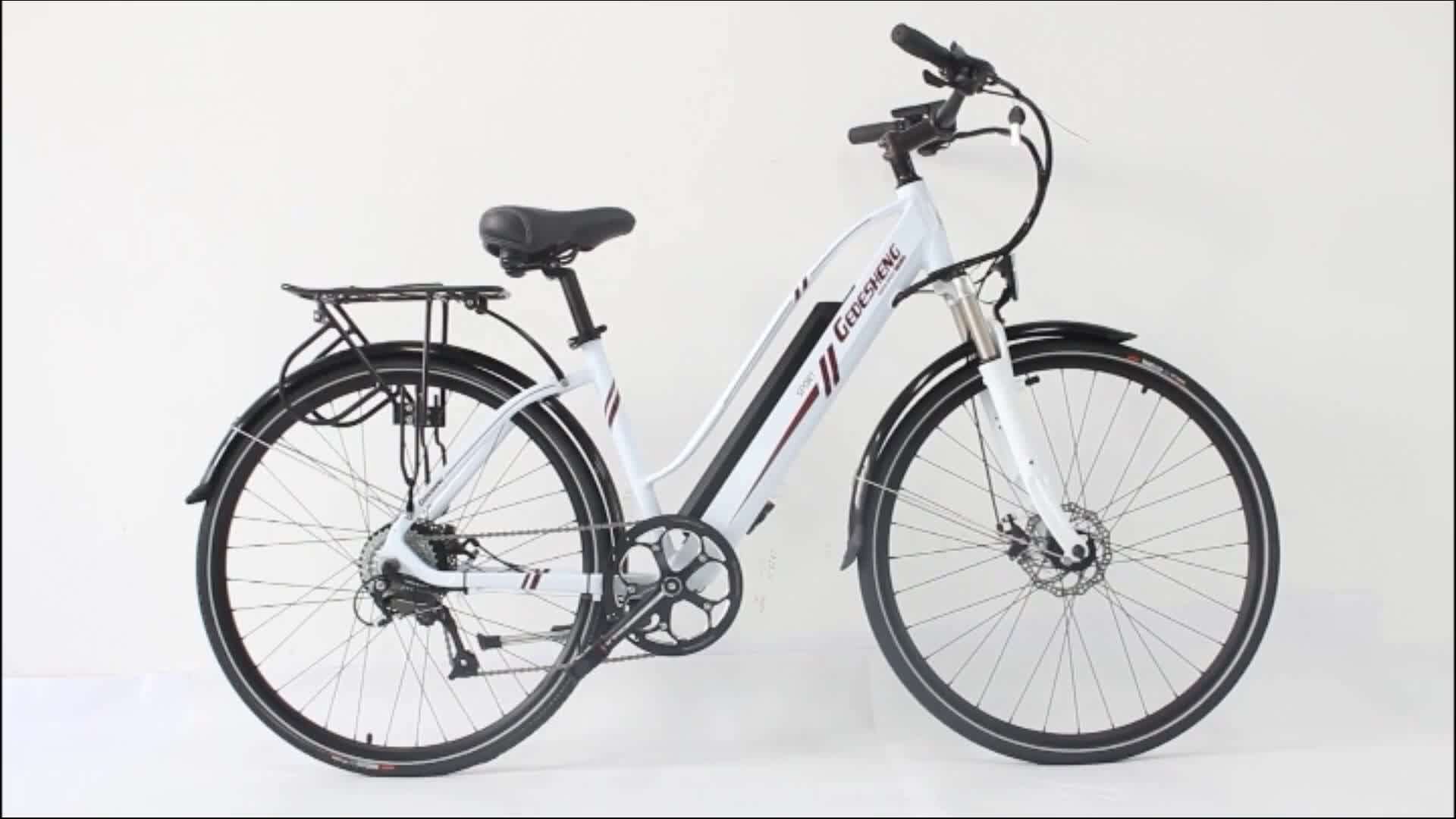 inexpensive ebike