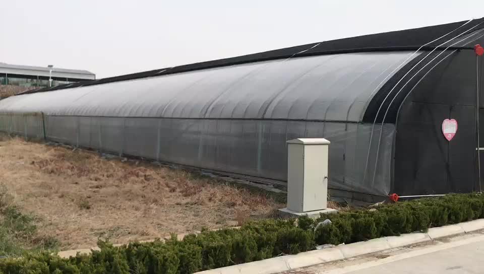 Portable Mushroom Plastic Tunnel Greenhouse Malaysia For Sale Buy