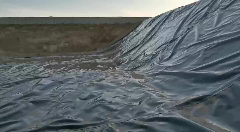 Bâche Pour Bassin En HDPE, Doublure D'étang Robuste Noire Revêtement De Bassin Membrane