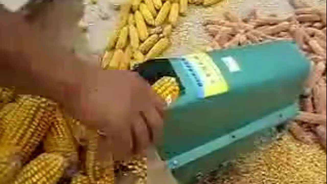 Обработка кукурузы. Довсходовое боронование кукурузы. Мтз 1221 междурядная культивация. Междцрядная культивация на джондир 6r. Опрыскивание полей гербицидами.