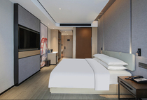 Guangzhou Shangyuan Hotel (Guangzhou Zhongda Metro Station Branch) Star Select Room