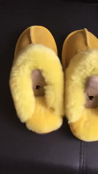 snow paw sheepskin slippers