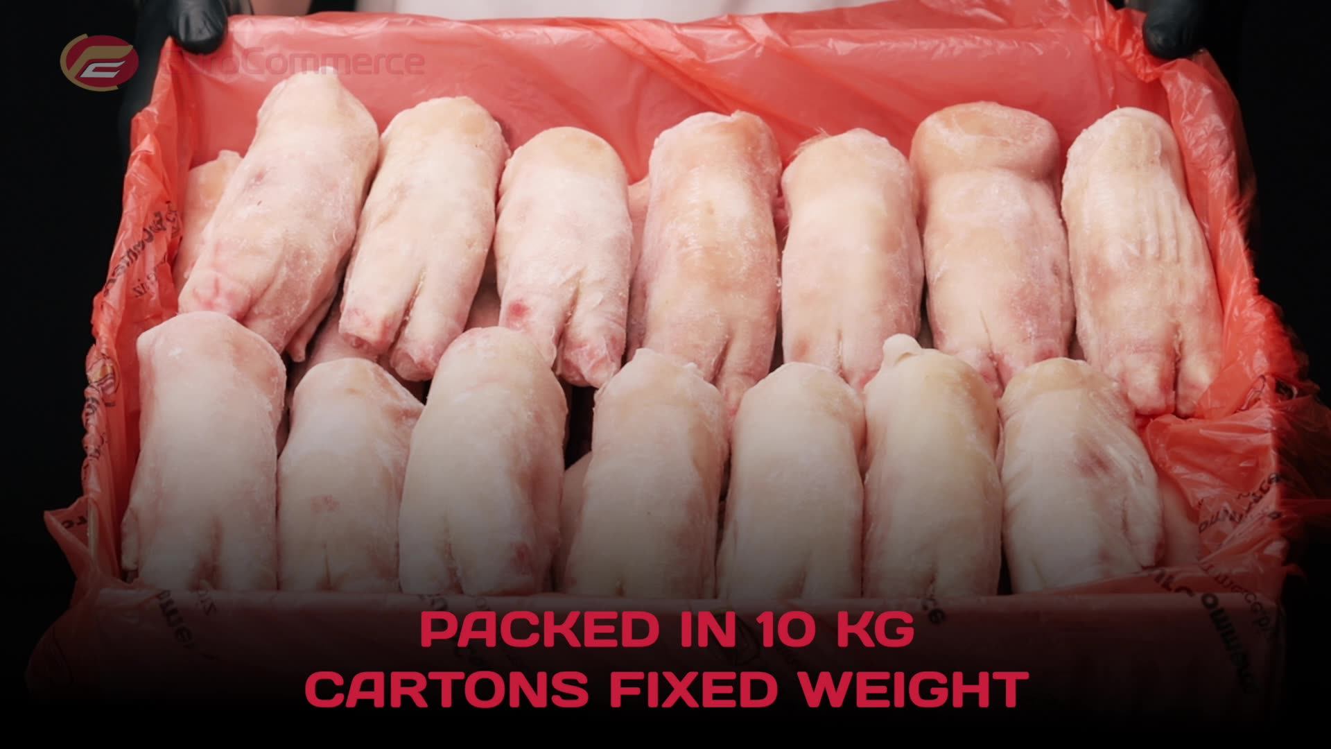 Frozen Pig Front Foot Agrade,Pork Foot Agrade,Frozen Pork Feet A