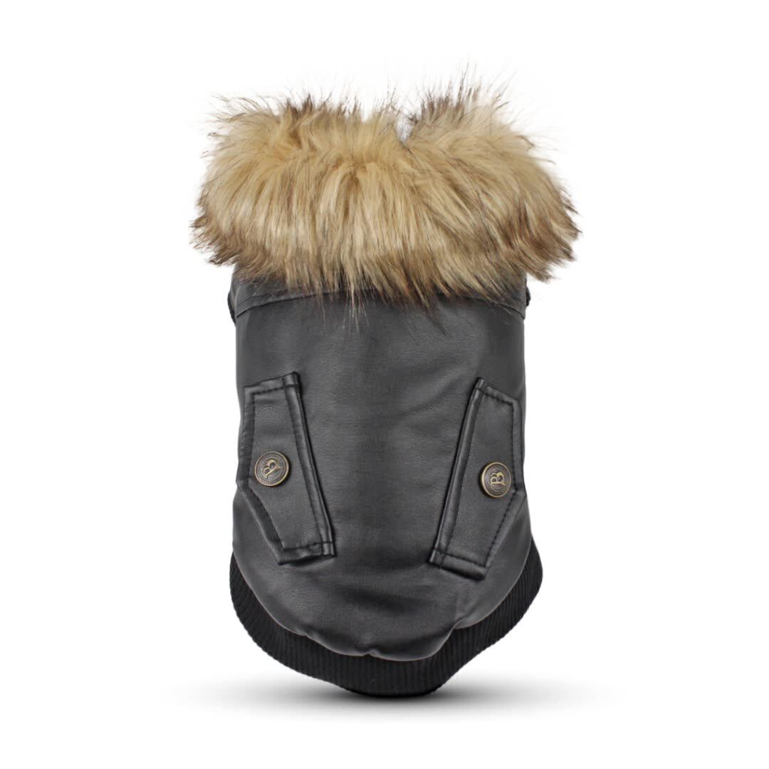 small dog leather jacket