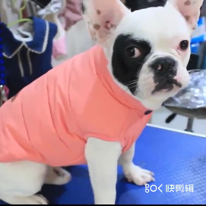Хлопковое пальто XLeiPet для французского бульдога