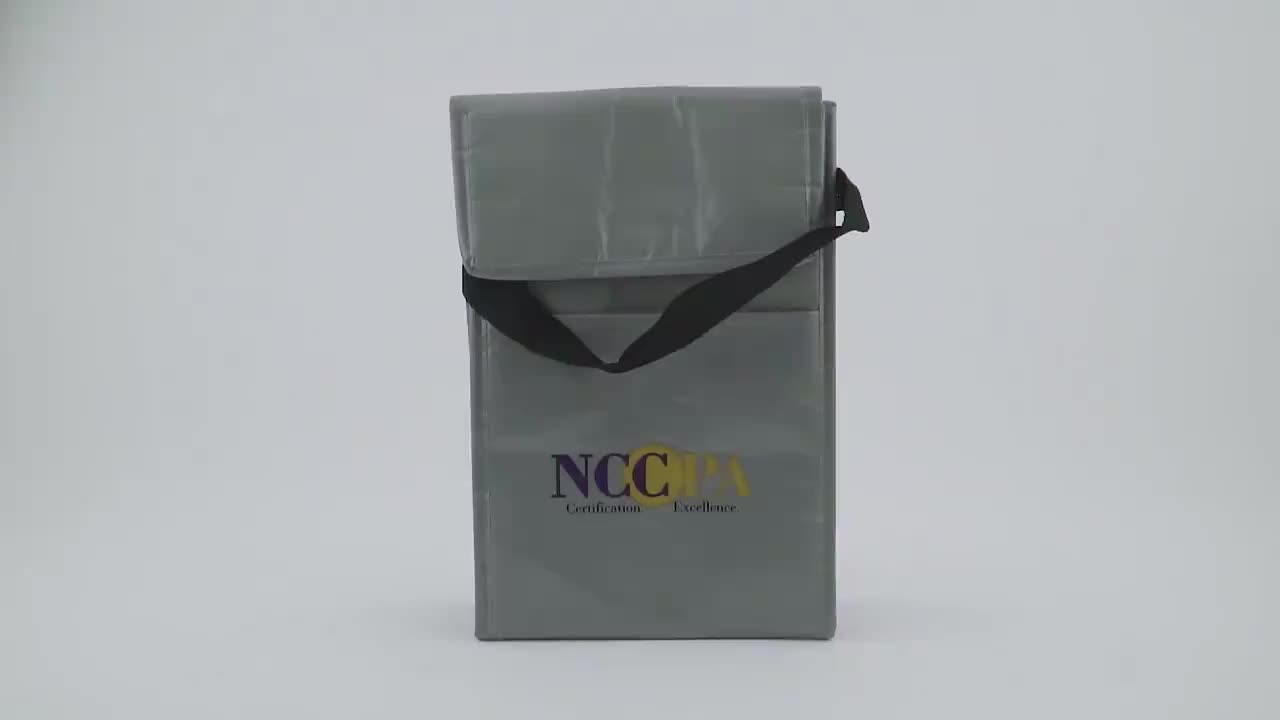 Coles Insulated 600d Single Shoulder 4 Can Cold Storage Cooler Bag