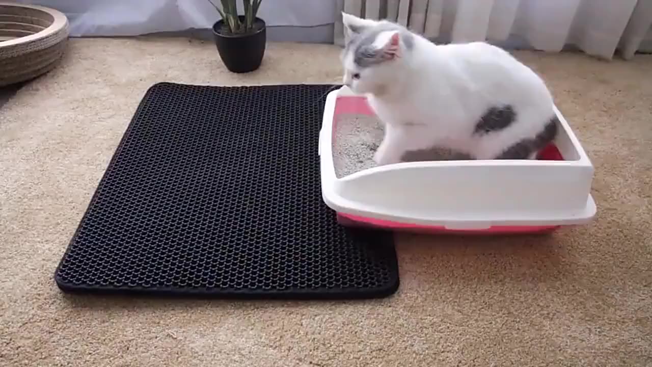Best Kitty Tracking Mat Cat Box Pee Pads Anti Catcher Tray Matt Litter