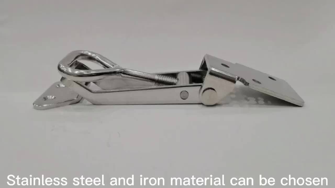 Sk30163s Wholesale Draw Latch Stainless Steel Toggle Clamp With High