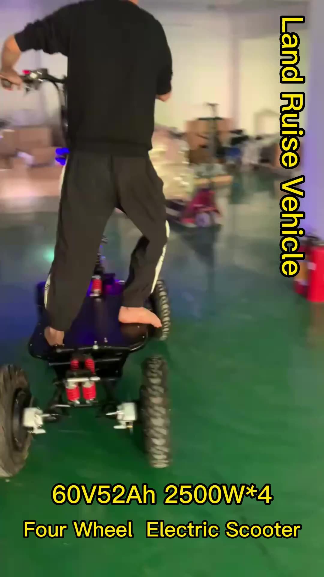 Multifunction Cruiser Four Wheel Electric Scooter 16 Inch Off Road