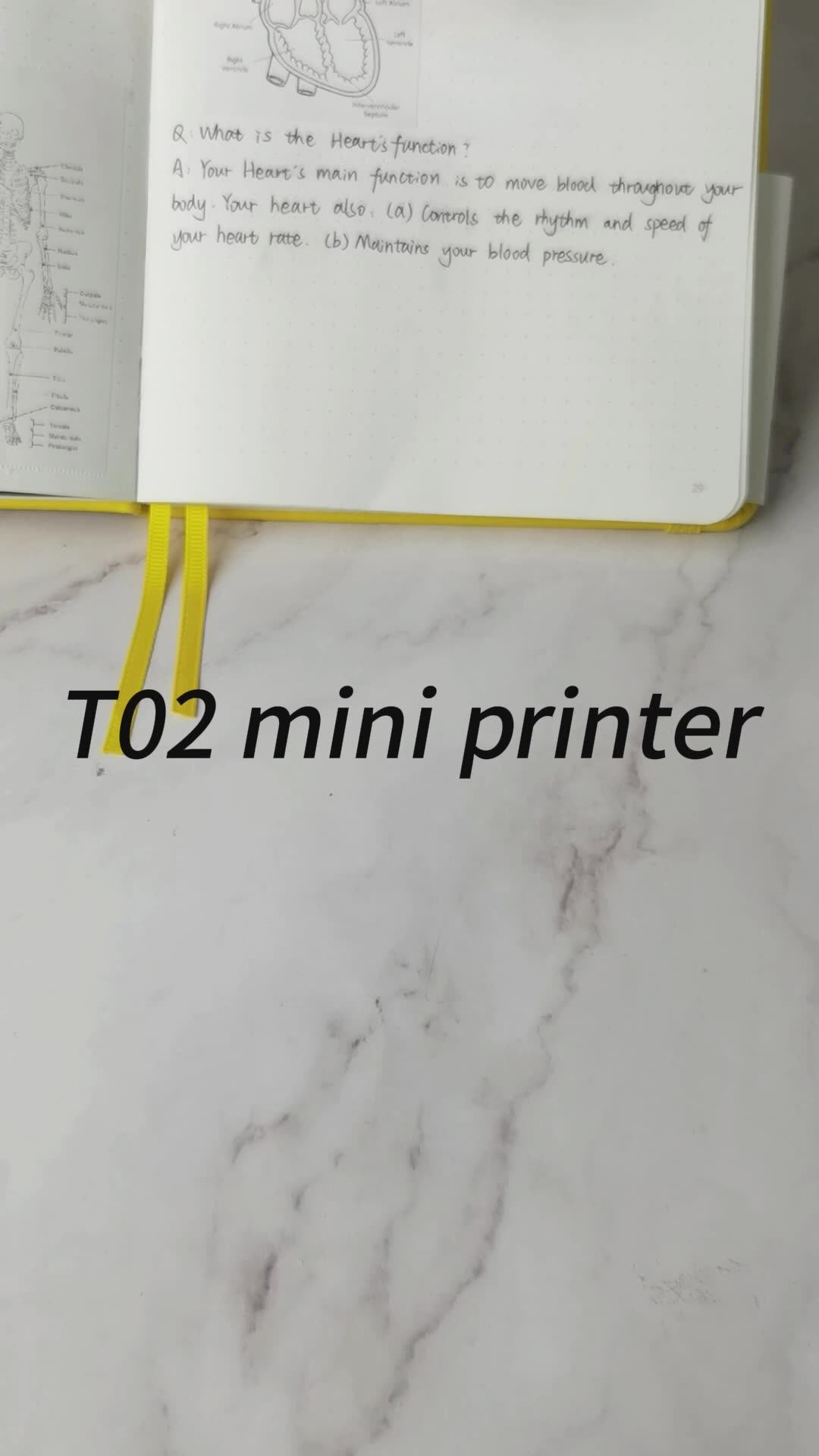 Phomemo Portable Mini Thermal Printer T02 - Pocket Label Maker