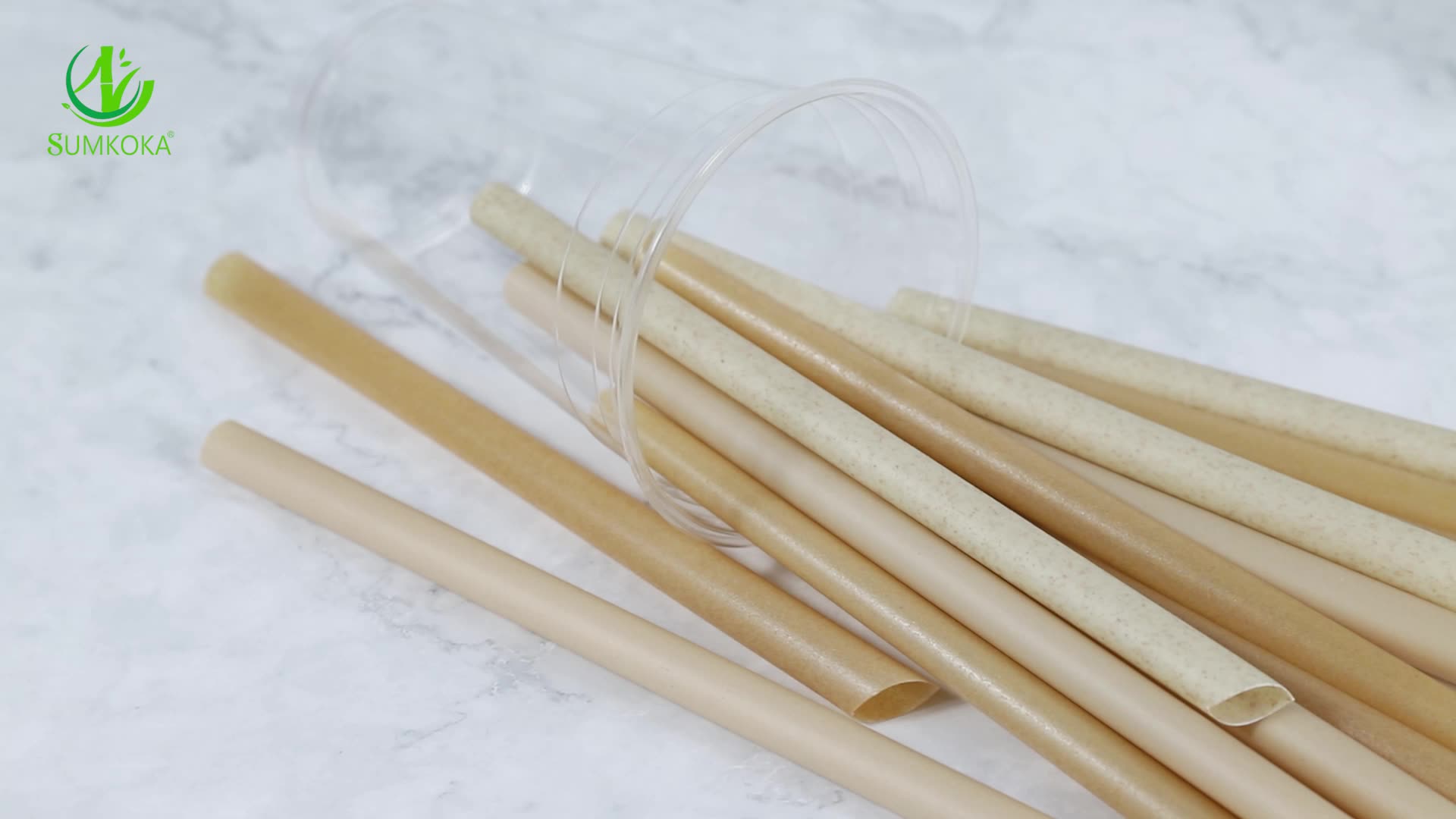 Biodegradable Straw Agave Sugarcane Bagasse Eco Friendly Disposable