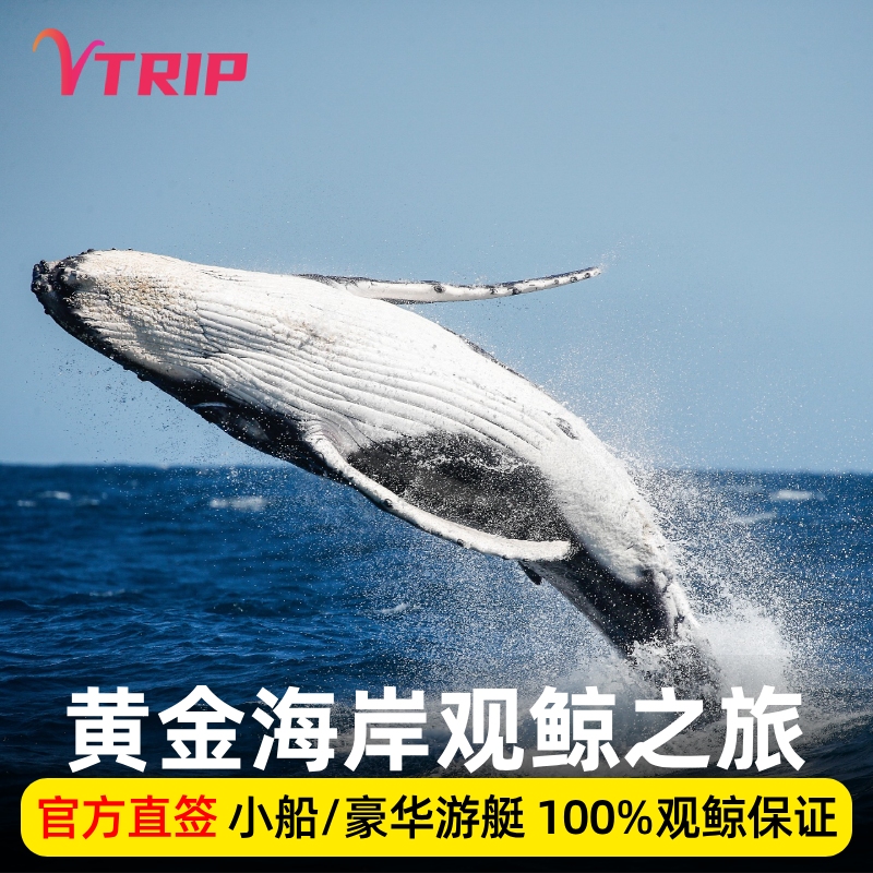 Vtrip Australia Travel Gold Coast Whale Watching Cruise Boat Sea World Luxury Vtrip Australia Travel Gold Coast Whale Watching Cruise Boat Sea World Luxury
