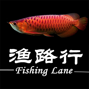 渔路行水族之家