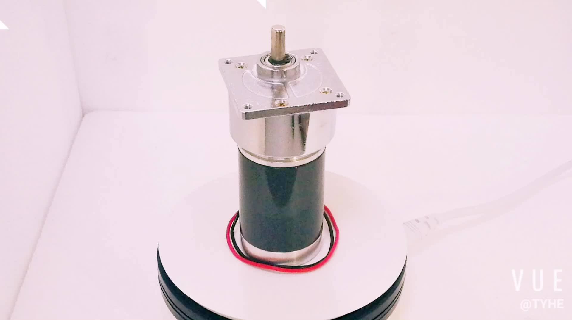 China Supplier 60mm Diameter 12v 50w 3000rpm Electric Maxon Dc Metal