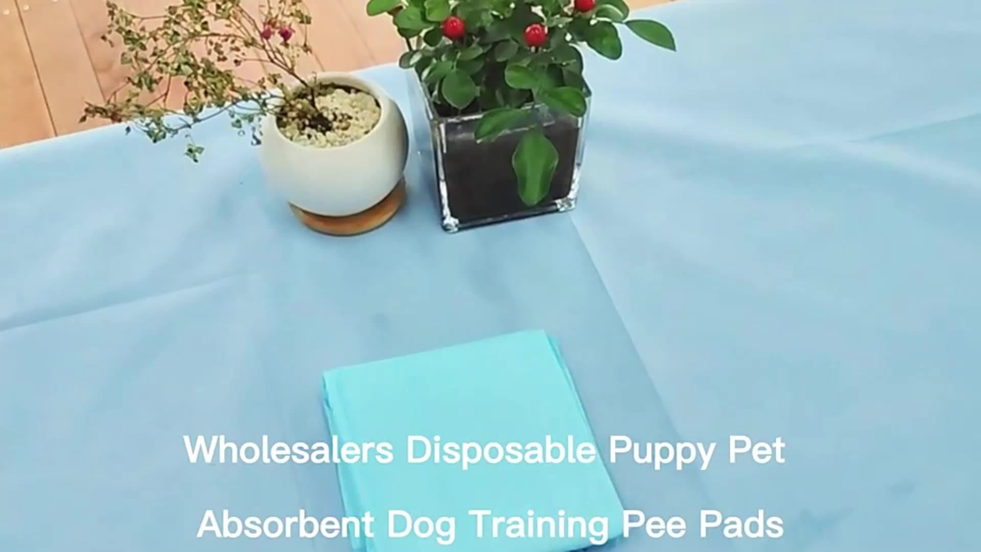 Manufacturer Wholesale Absorbent Soft Pee Puppy Pads Disposable Female