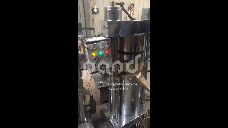 Prickly Pear Seed Oil Extraction Machine Huile D'olive Black Seed Oil Press Machine Pakistan