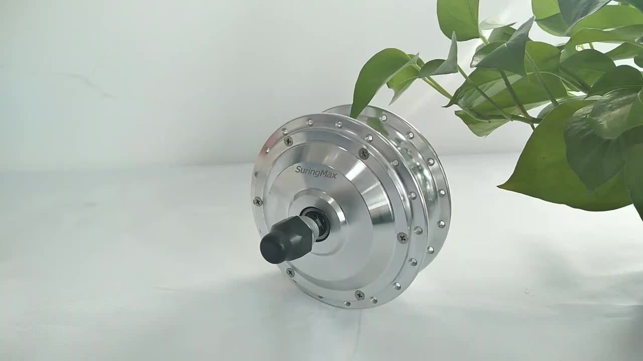 Factory Supply! Economical 36v 250w Electric Bicycle Gear Hub Motor Kit