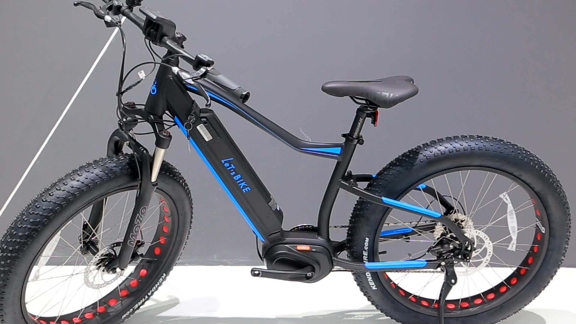 2021 High Quality Full Suspension Mid Drive Electric Bike 500w/mountain
