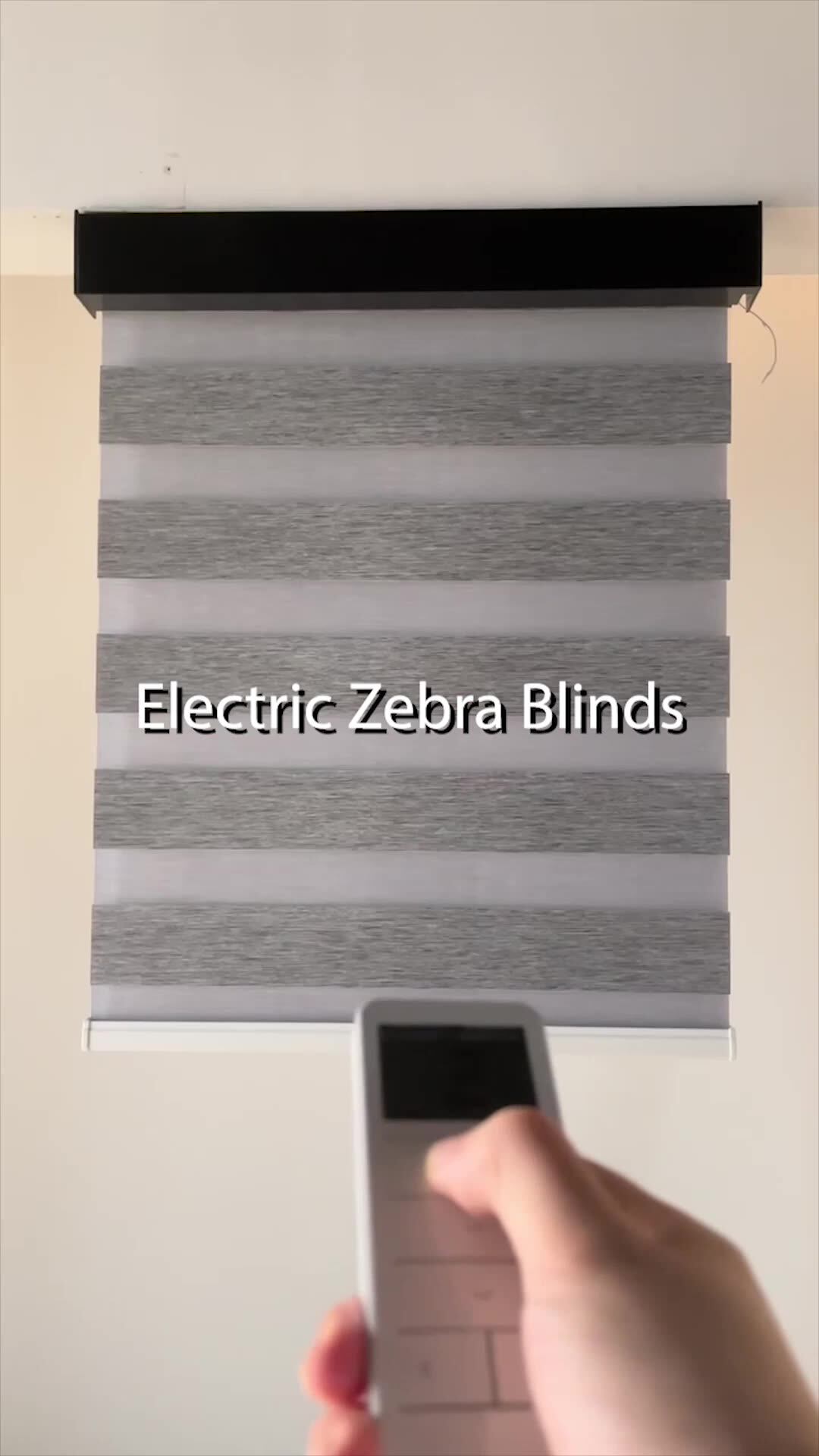 Zebra Blinds Blackout Shades Electric Smart Curtain Cordless Automatic