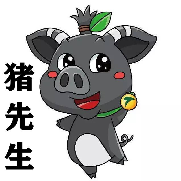 原生态黑土猪