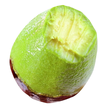 Mexican imported large avocado fresh fruit ripe ready-to-eat first-grade avocado 15 limited time flash sale