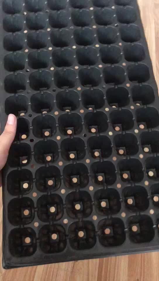 Plastic Cell Seed Nursery Plug Trays Buy Seedling Tray,Black Plastic