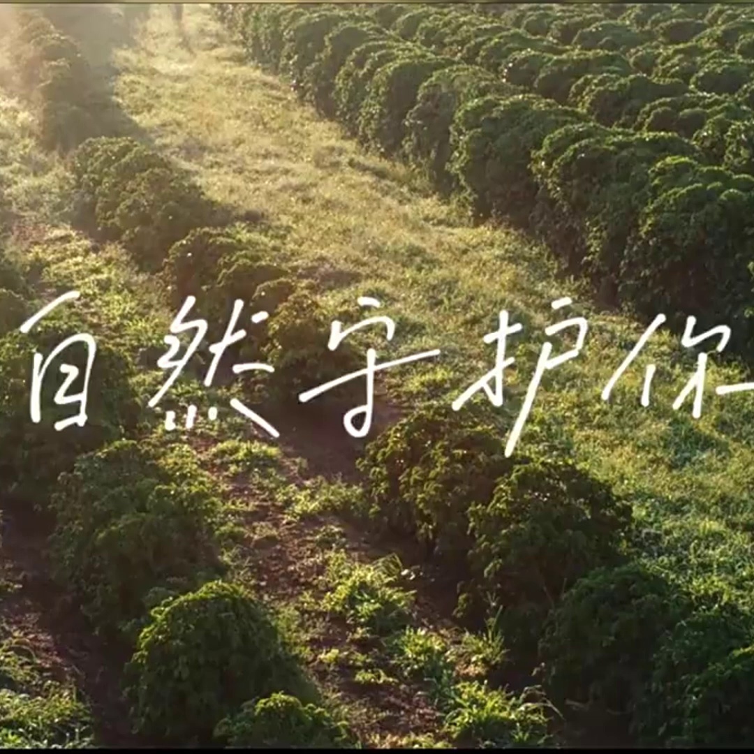 角质层过厚何办？选对沐浴露很为主