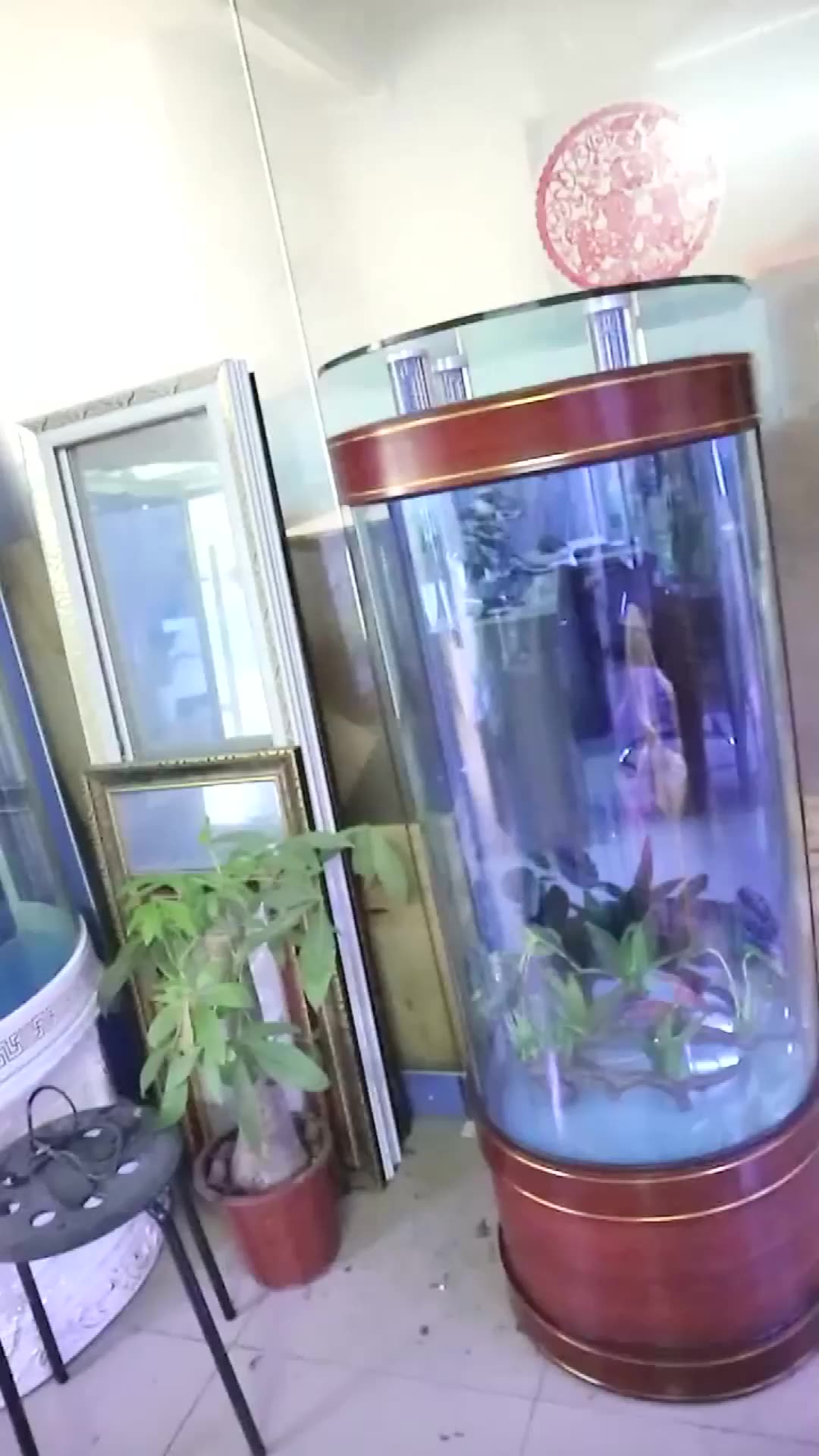 Akuarium Ikan Silinder Kolom Acquario Silinder Kaca Setengah Bundar Berdiri Lantai Buy Silinder Akuarium Ikan Kolom Aquarium Silinder Akuarium Product On Alibaba Com Model aquarium berdiri
