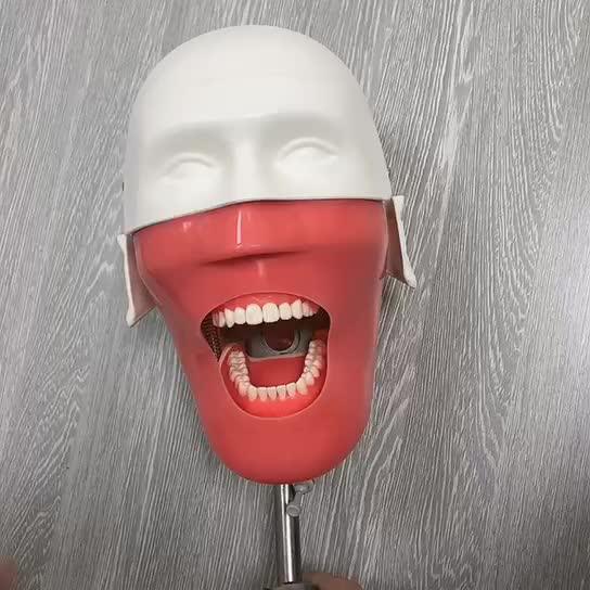 Simulation Dummy Head Manikin Bench Mounted Simple Phantom Head Model