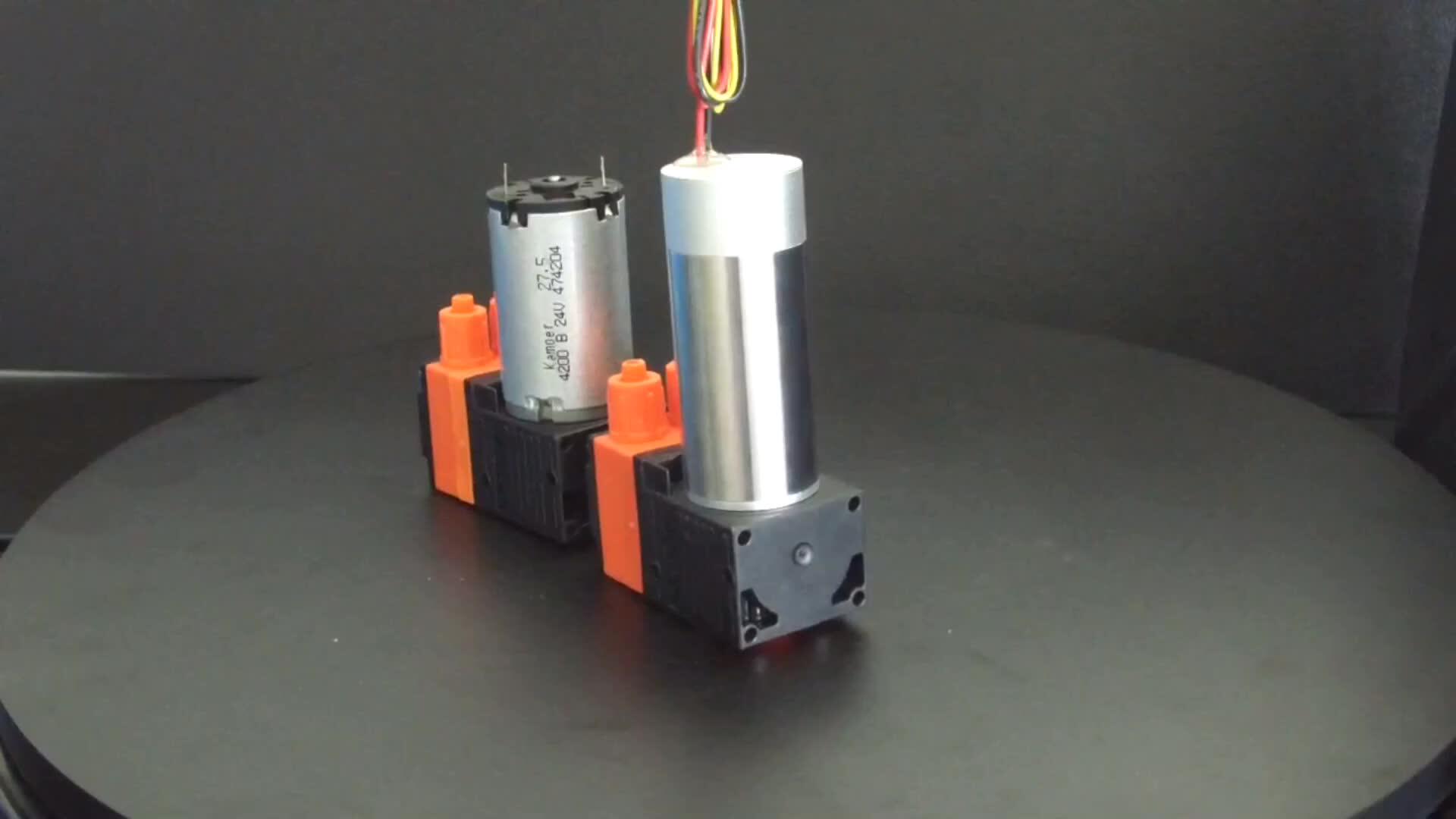 Kamoer Klp02 Single Head Brushed/brushless Dc Motor 24v High Pressure