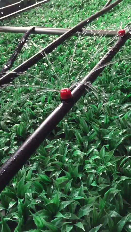 Drip Emitter Garden Flag Irrigation Dripper In 3 Sizes Trees And Shrubs