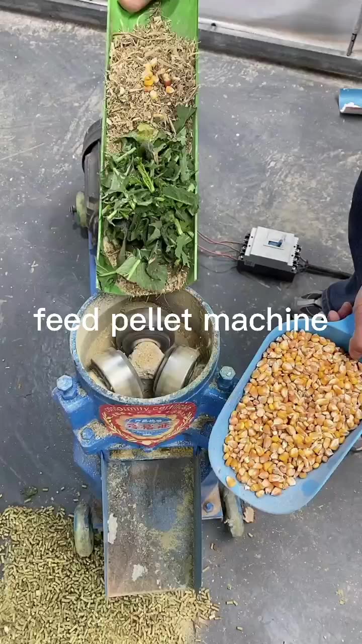 Electric Feed Pellet Machine Philippines Animal Feed Pelletizing