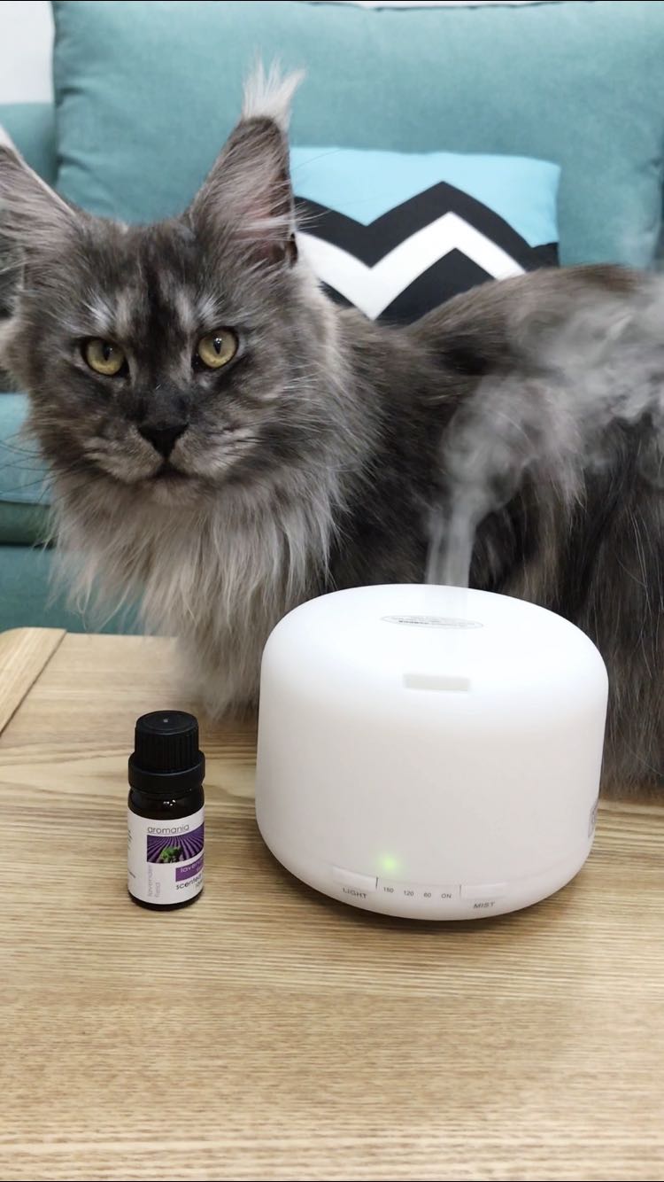 超声波纳米香薰空气加湿器质量怎么样是品牌吗，两大爆款使用效果评测_搜券