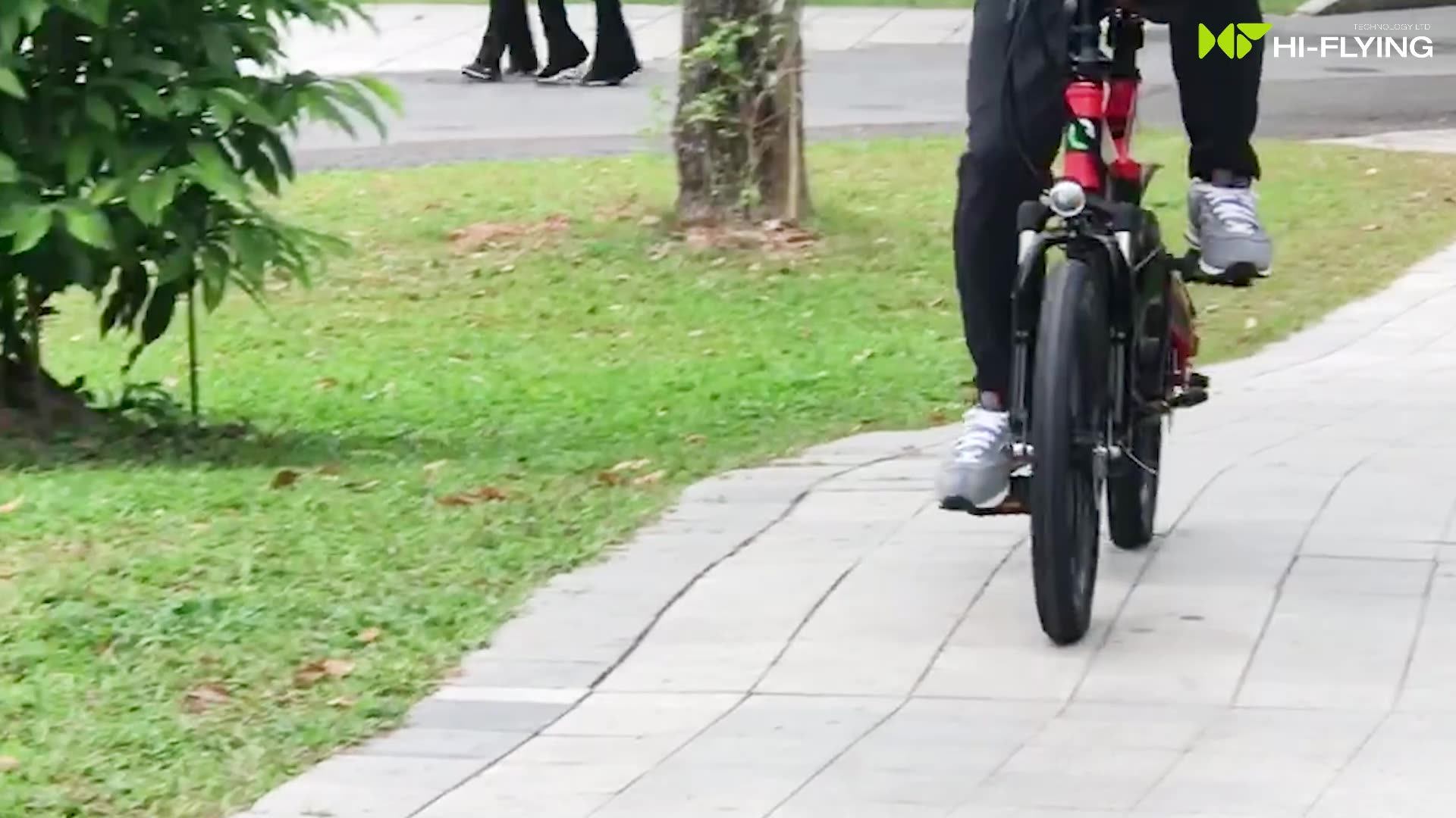 Ecoflying Europe 20inch Folding Electric Bicycle Motor Electric Bike