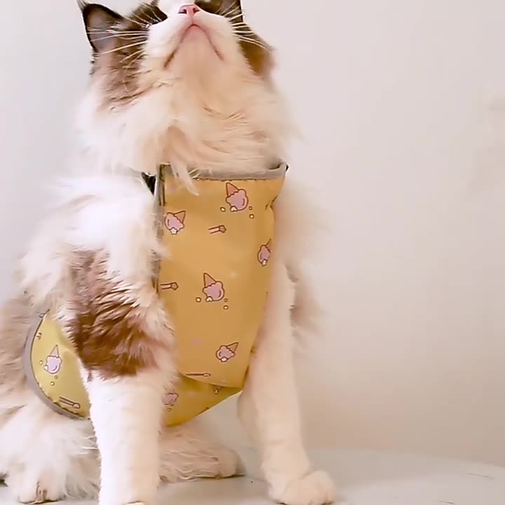 Cooling Vest for Dogs & Cats – Lightweight & BreathableCooling Vest for Dogs & Cats – Lightweight & Breathable