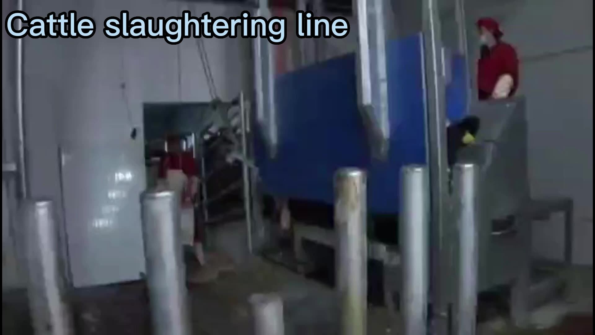 Pig Cow Slaughterhouse Equipment Cattle Slaughter Line Equipment Cattle