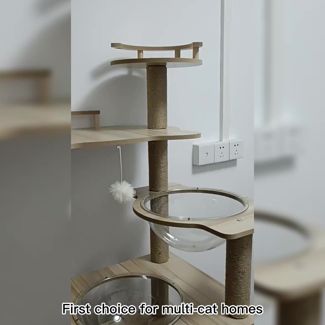 Big Cat Activity Black Climbing Trees House Multilayer Tower For Large