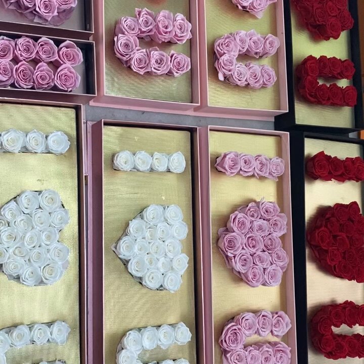 Fresh pink rose flower preserved roses 20 colors available cut flowers