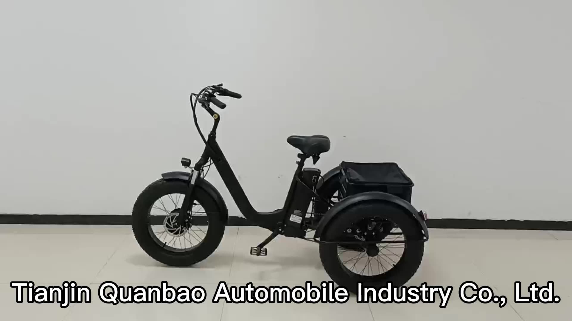 3 Wheel Electric Tricycle Tadpole Recumbent Trike /1000w Electric Trike Electric Fat Tire Trike