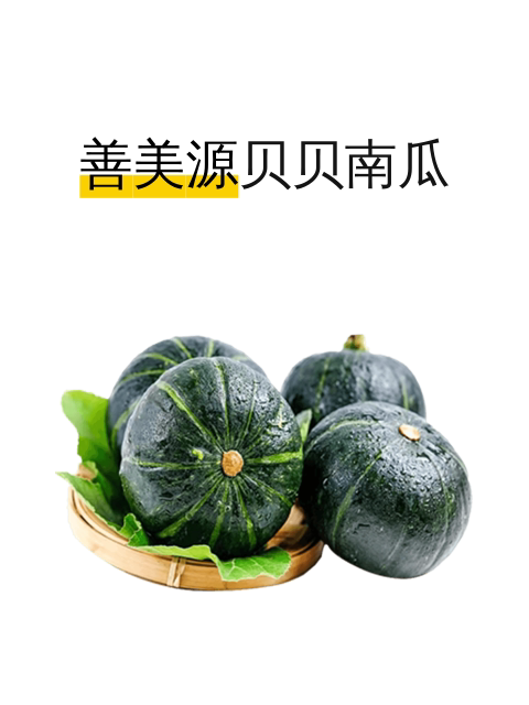 善美源贝贝南瓜-淘宝逛一逛