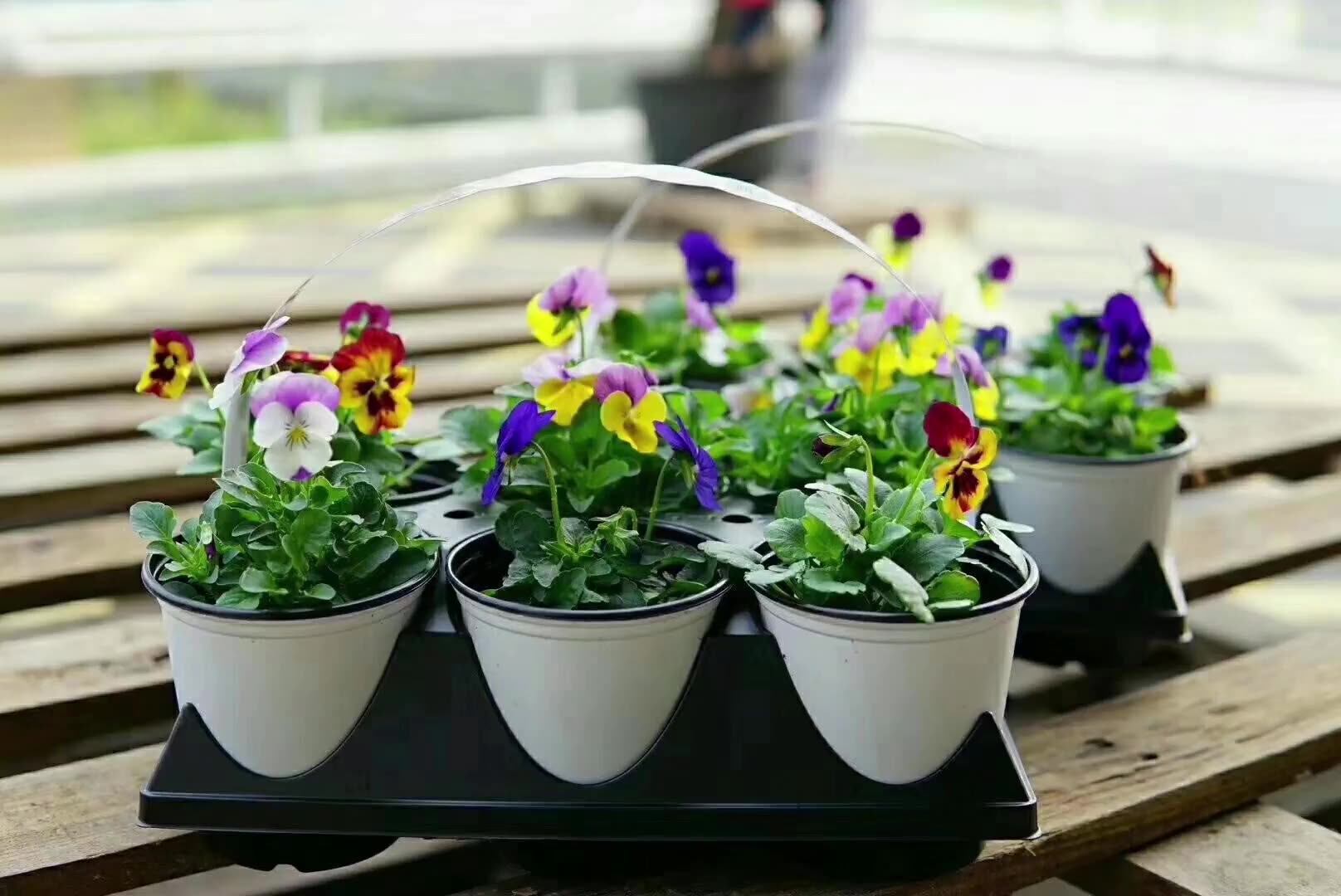 Round Plastic Flower Pot Carry Tray For Sale Buy Nursery Pot Carry