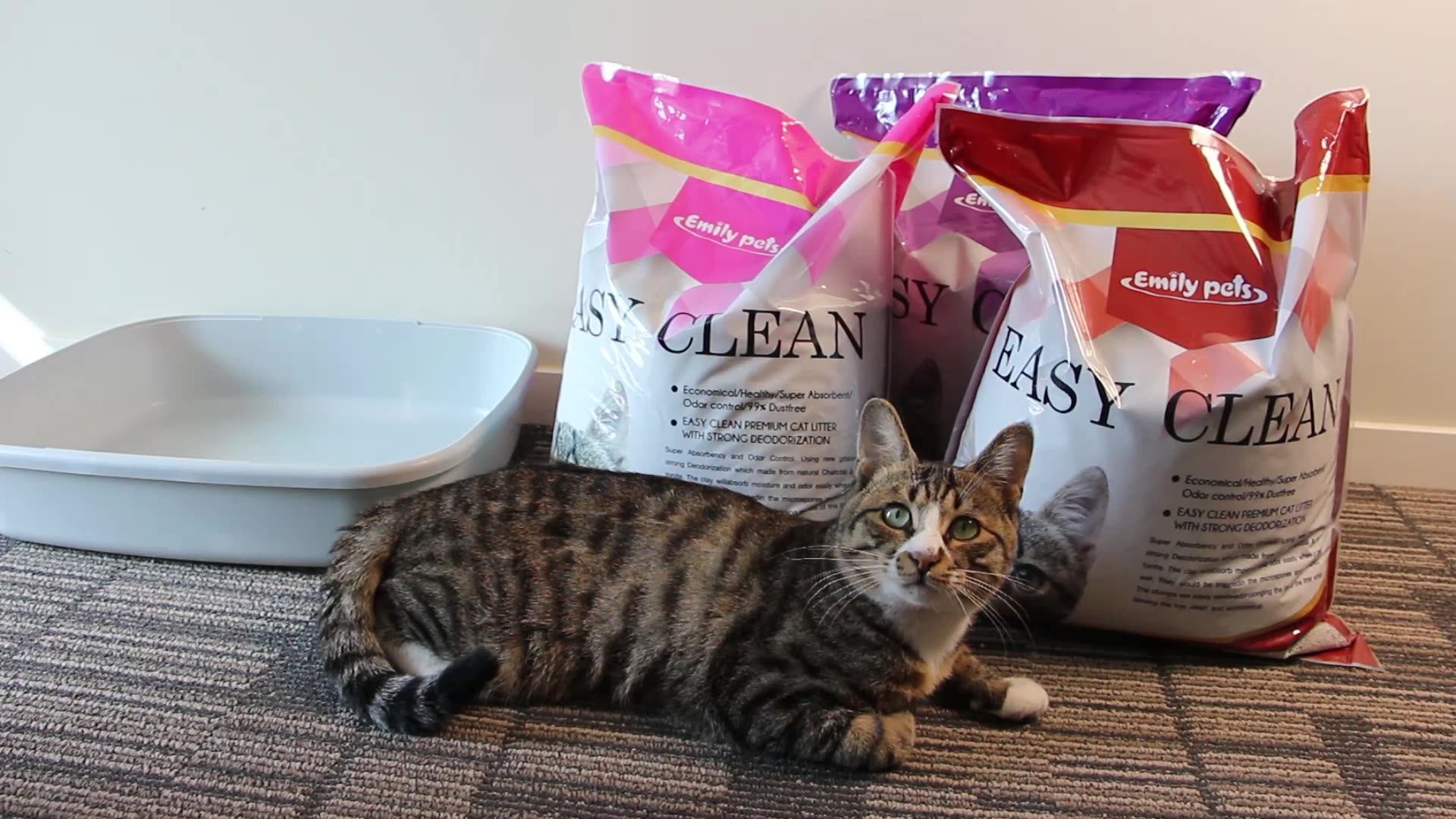 Emily Pets Premium Low Dust Bentonite Cat Litter Tofu Cat Litter Sand