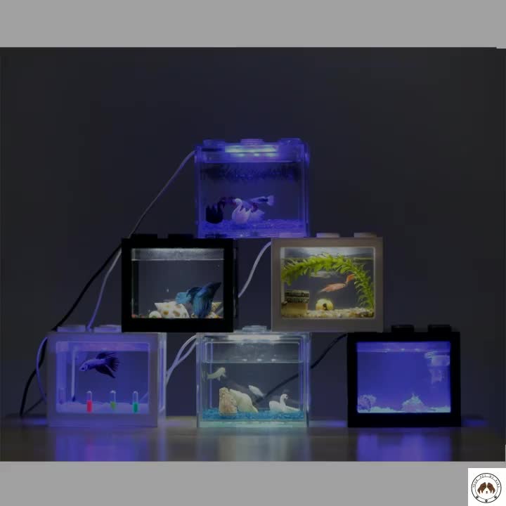 Online Shop China Wholesale Plastic Aquarium Mini Black Betta Fish Tanks - Buy Plastic Mini ...