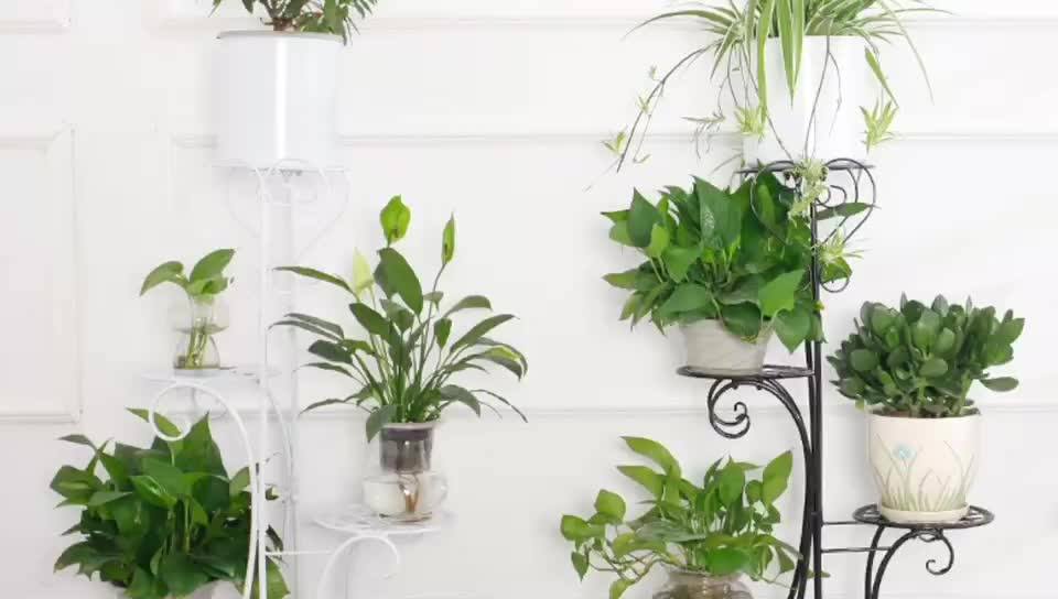 Church & Garden 4 Tier Tall Iron Metal Flower Pot Plant Stand For Sale