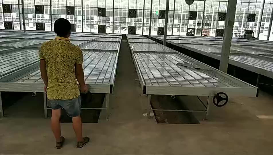 Large Grow Grow Racks And Rolling Bench Flood And Drain Tray