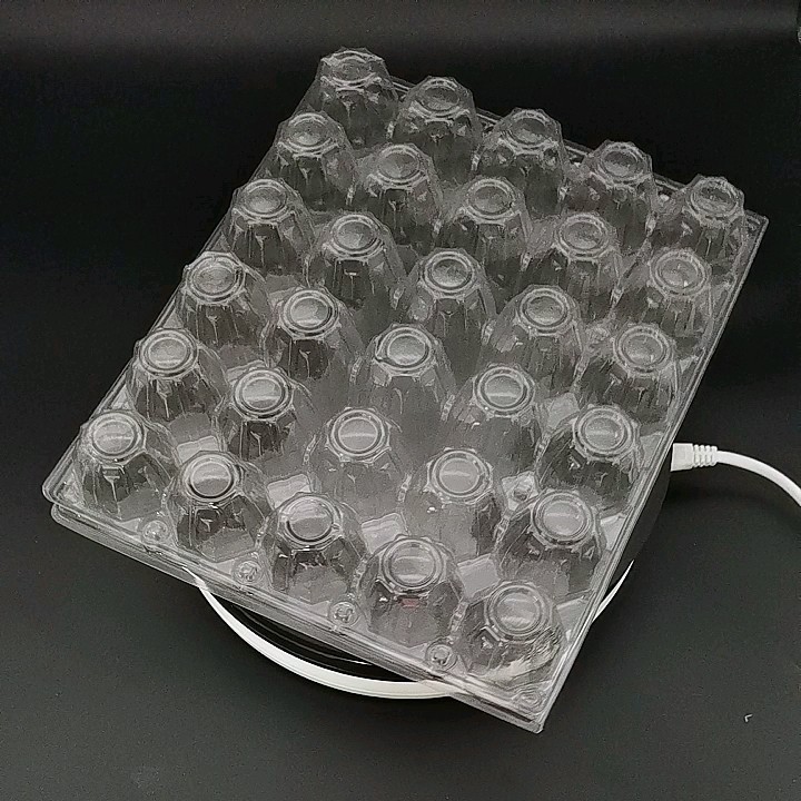 30 Holes Packs Plastic Packing Tray Clear Plastic Egg Cartons Buy Pet