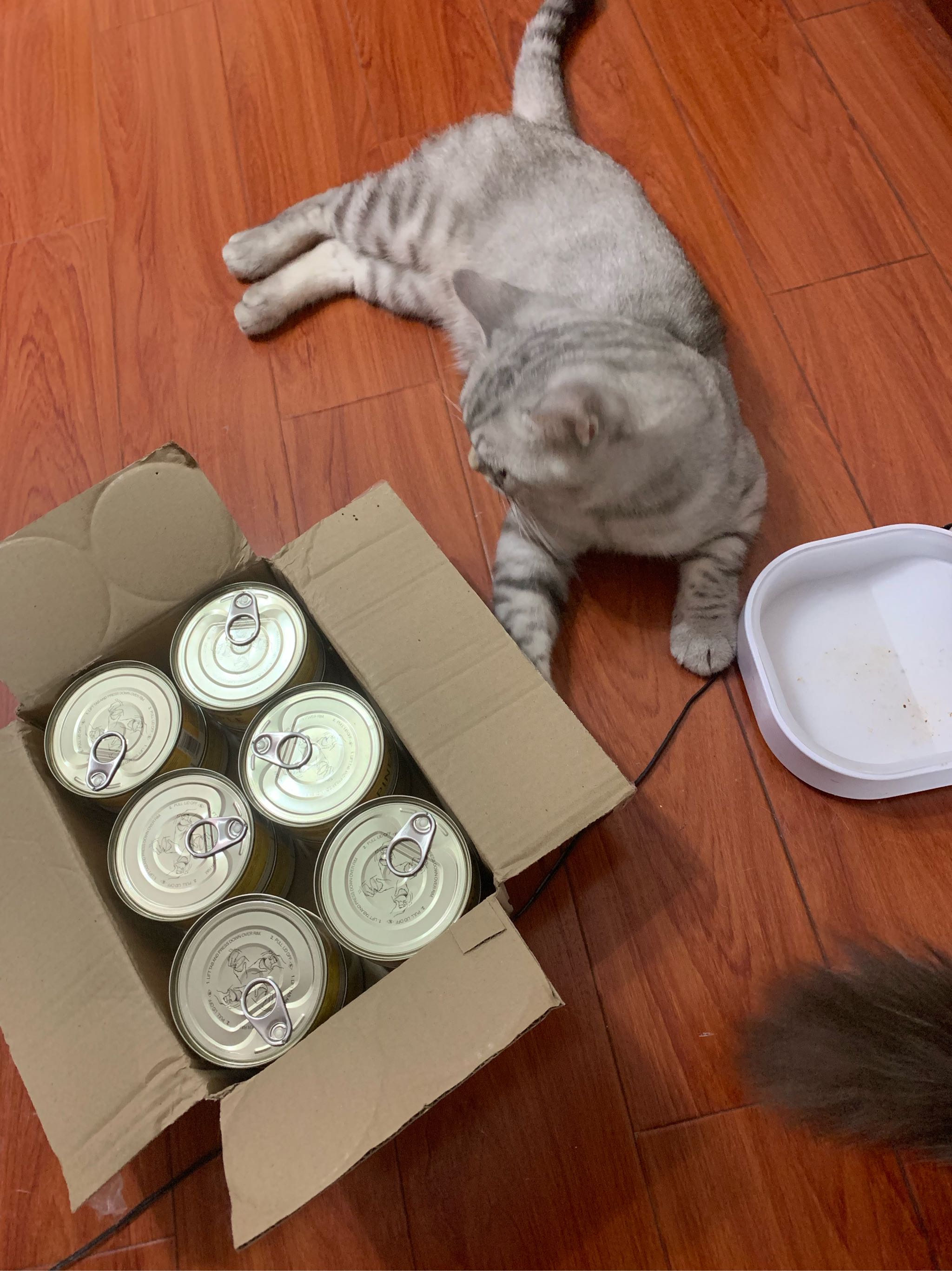 能治愈挑嘴喵星人的进口猫罐头怎么样，好用吗？使用感受分享,第6张