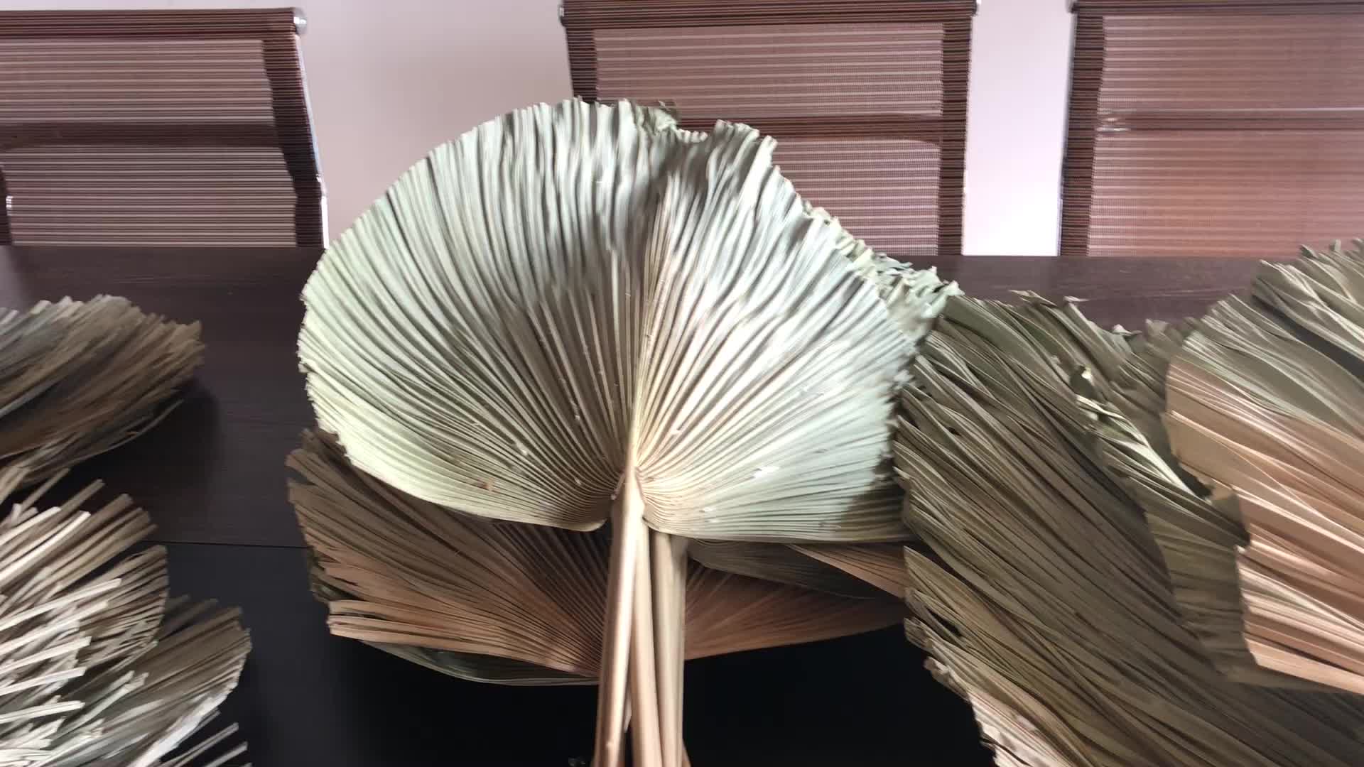 Wholesale Bohemian Wedding Decorative Fresh Large Palmtree Leave