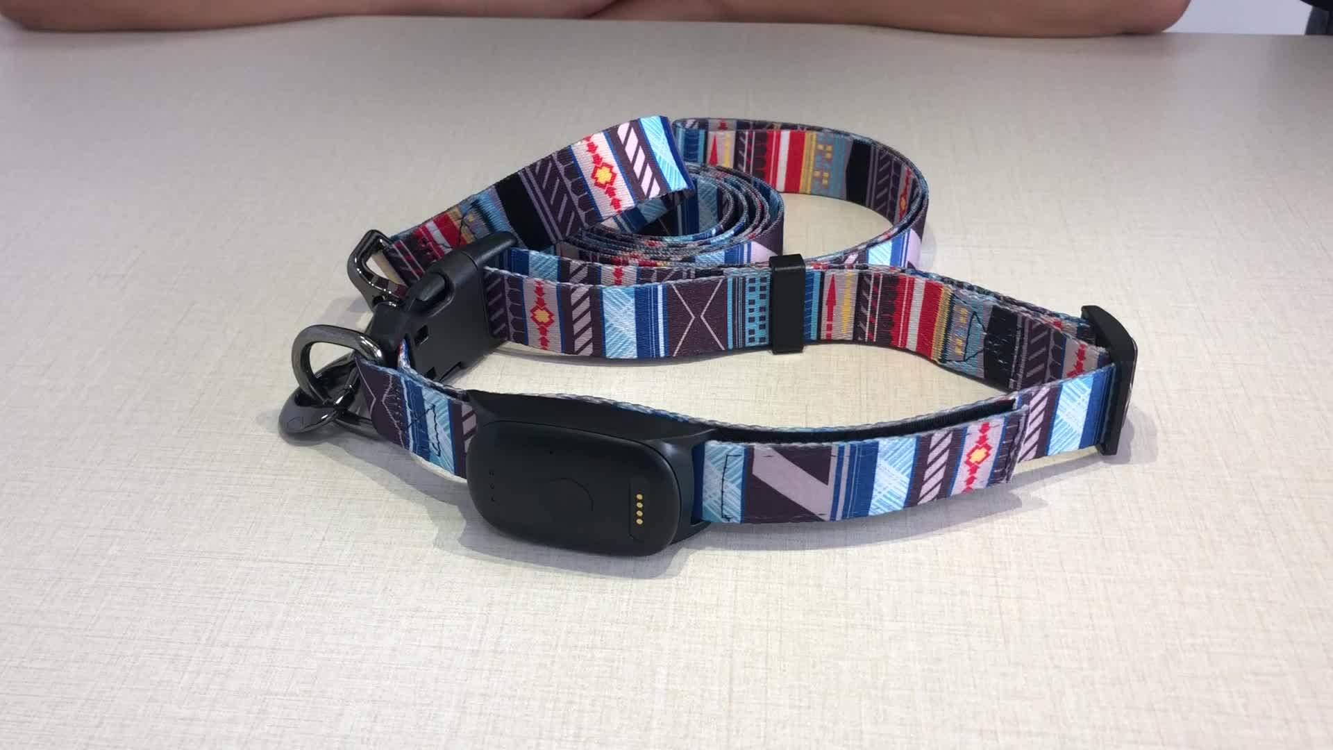 Luxury Waterproof Pet Collar Gprs Activity Monitors 4g Dog Gps Tracer