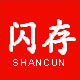 闪存数码直营店
